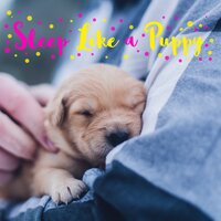 Au clair de la lune - Musica para Bebes Especialistas & Musica para Bebes & Sweet Baby Sleep Music