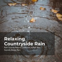 Earthy Mellow Drizzles - ASMR Rain Sounds & Rain Sounds Nature Collection & Sleepy Rain