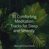 Crystal Clarity - Deep Sleep Music Academy & Tranquility Spa Universe & Sleepy Times