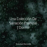 Núcleo Central - Musicas Crianças & Naturaleza Sonidos & Ambiente