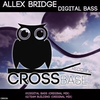 Team Building - Allex Bridge
