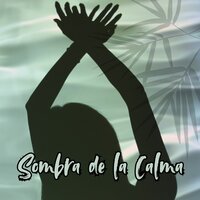Huellas de Paz - Curación Milagrosa & Musica para ambientar la casa