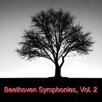 Symphony No. 8 in F Major, Op. 93: II. Allegretto scherzando - The Philharmonia Orchestra & Otto Klemperer & Ludwig van Beethoven