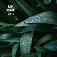 Rain Sounds For Sleep Pt. 6 - Rain Sounds & Rain Sounds FX & The Entrainment