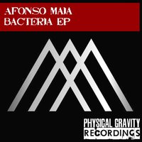 Elfos - Afonso Maia