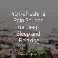 Woods, Dawn, Birds - Relaxing Nature Ambience & The White Noise Zen & Meditation Sound Lab & Rain Sounds Rain