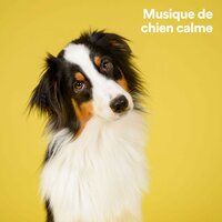 Rêver de nourriture - Musique Calme et Relaxation