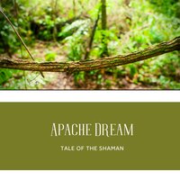 Beautiful Dance - Tale of the Shaman