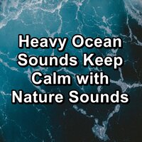 Cozy Wave Sounds For Easy Sleep To Help with Meditation - NATURE & pure nature & Nature Sounds – Sons de la nature