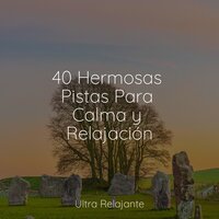 Alivio de la Ansiedad - Relajantes sonidos de lluvia & Ambiente & Relajante