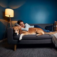Tonos Calmantes Para Los Perros - Musica Para Perros Paz & Ritmos suaves & Zona de Sonidos de la Naturaleza