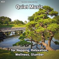Quiet Music Part 2 - Yoga Music & Relaxing music & Yoga