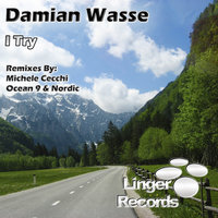 I Try - Damian Wasse