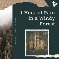 Raindrops Will Soothe You To Sleep - Nature Sounds At Home & Rain for Deep Sleep