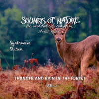 Thunder in the Distance - Synthwave Station & The Nature Soundscapes & Worldwide Nature Studios