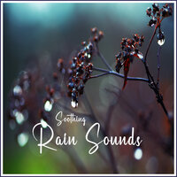 Soothing Rain Sounds, Pt. 24 - Rain Sounds For Sleep & Rain Sounds by BNLXA & Soothing Sounds