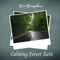 Into Each Life Some Rain Must Fall - Meditation Rain Sounds & Rain Palace & Sample Rain Library