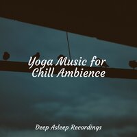 Echoes of the Universe - Weather Factory & SleepTherapy & Spa