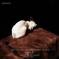 Embrance the Dark - Paul Traeumer & AKASHA  MX & Atric