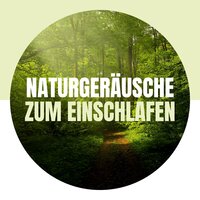 Geistige Atmosphäre - Einschlafmusik Kleinkinder