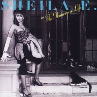 Next Time Wipe the Lipstick off Your Collar - Sheila E.