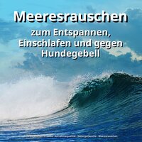Sanfte Naturszene - Meeresrauschen in bester Aufnahmequalität & Naturgeräusche & Meeresrauschen