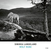 I See Your Light - Sinikka Langeland