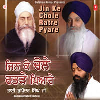 Tum Maat Pita Hum Barik Tere - Bhai Bhupinder Singh Ji