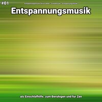 Entspannungsmusik Teil 28 - Entspannungsmusik Olivia Lehen & Schlafmusik & Entspannungsmusik