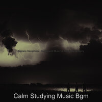 Simplistic Music for Rainy Day Studying - Calm Studying Music Bgm