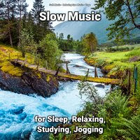 Relaxing Music for Sleeping - Soft Music & Relaxing Spa Music & Yoga