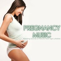 The Days that Will Come - Pregnancy Soothing Songs Masters