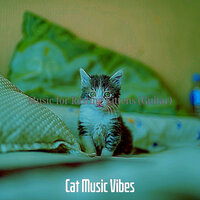 Funky Ambiance for Cute Cats - Cat Music Vibes