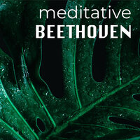  String Quartet No.14 In C Sharp Minor, Op.131 - Version For String Orchestra By Dimitri Mitropoulos - 6. Adagio quasi un poco andante - attacca: - Wiener Philharmoniker & Leonard Bernstein & Ludwig van Beethoven