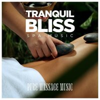 Moonlit Garden Dreams - Pure Massage Music