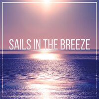 Serenity and Harmony - Oasis of Relaxation