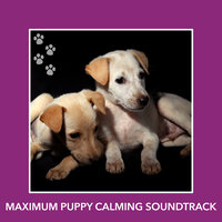 Sensual Conscience Evenings - Dog Chill Out Music