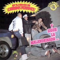 Somos Peloteros - Voces Del Rancho