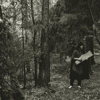A Forest - Sadko