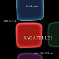 Fourteen Bagatelles: 12. Rubato - Llyr Williams & Бела Барток