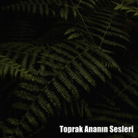 Huzur - Gevşeme Meditasyon Akademisi