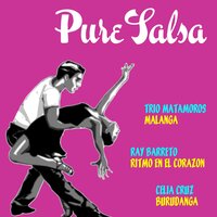 Por Eso Yo Canto Salsa - Fania All Stars