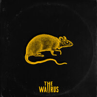 Choose Your Rats - The Wallrus