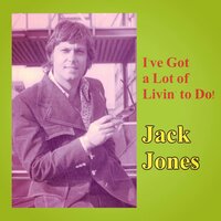 Swingin' Thru the Park - Jack Jones