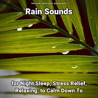 Rain Sounds for Stress Relief and Relaxing Pt. 8 - Nature Sounds & Rain Sounds & Regengeräusche