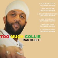 Chant Down Babylon - Ras Kush I & Pickout All Stars Band