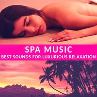 Sparrow Chirping - Relaxing Spa Music Zone