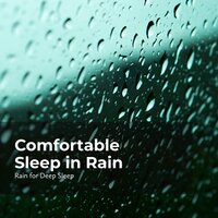 Carefree Sleep in Rain - Ambient Rain & Rain for Deep Sleep & Gentle Rain Makers