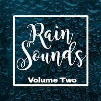 Rain Noises - Nature Sounds & Rain Sounds Sleep