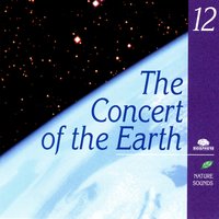 Concert Of Birds (Concert D'Oiseaux) - Nature Sounds